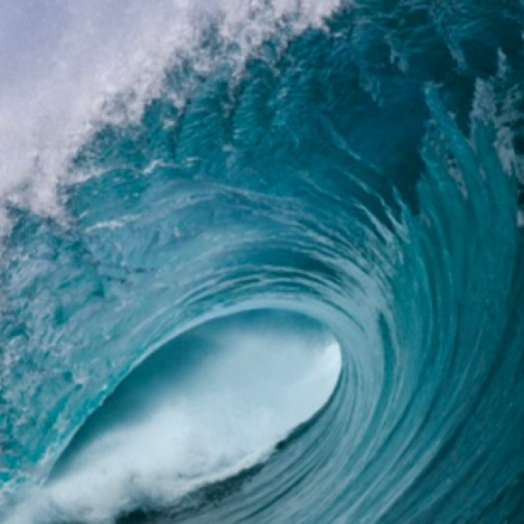 Meet your Posher, Stéphanie - Picture 1 of 1